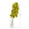 Cymbidium Orchid Artificial Arrangement in Glass Vase