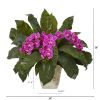 Phalaenopsis Orchid and Fern Plant in White Planter