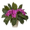 Phalaenopsis Orchid and Fern Plant in White Planter