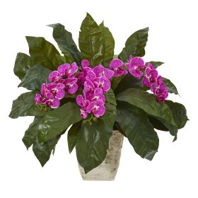 Phalaenopsis Orchid and Fern Plant in White Planter (size: 26")