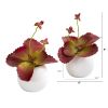 Succulent Artificial Plant in White Planter (Set of 2)