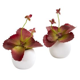 Succulent Artificial Plant in White Planter (Set of 2) (size: 9")