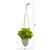 Basil Artificial Plant in Hanging Vase