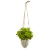 Basil Artificial Plant in Hanging Vase