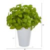 Basil Artificial Plant in White Planter