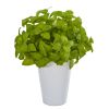 Basil Artificial Plant in White Planter