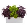 Basil Artificial Plant in White Planter
