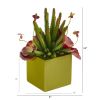 Succulent Artificial Plant in Green Planter