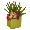 Succulent Artificial Plant in Green Planter