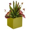 Succulent Artificial Plant in Green Planter