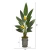 Bird of Paradise Plant in Metal Planter (Real Touch)