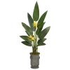 Bird of Paradise Plant in Metal Planter (Real Touch)