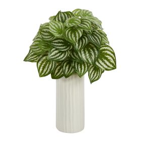 Watermelon Peperomia Plant in Planter (Real Touch) (size: 15")