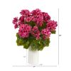 Geranium Plant in Planter UV Resistant (Indoor/Outdoor)