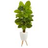 Philodendron Plant in Planter with Stand (Real Touch)