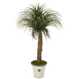 Pony Tail Palm Artificial Plant in Decorative Planter (size: 61")