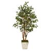 Ficus Artificial Tree in Country White Planter
