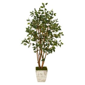 Ficus Artificial Tree in Country White Planter (size: 53")