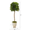 Fiddle Leaf Tree in Decorative Urn (Real Touch)