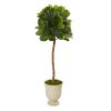 Fiddle Leaf Tree in Decorative Urn (Real Touch)