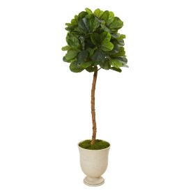Fiddle Leaf Tree in Decorative Urn (Real Touch) (size: 65")