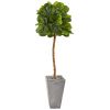 Fiddle Leaf Tree in Cement Planter (Real Touch)