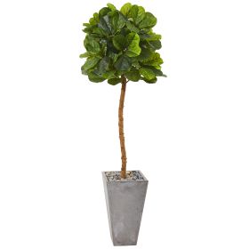 Fiddle Leaf Tree in Cement Planter (Real Touch) (size: 70")