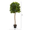 Fiddle Leaf Artificial Tree (Real Touch)