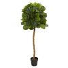 Fiddle Leaf Artificial Tree (Real Touch)