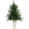 Swedish Fir Christmas Tree w/160 LED Lights in Planter
