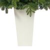 Swedish Fir Christmas Tree w/160 LED Lights in Planter