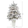 Flkd North Carolina Fir Xmas Tree w/150 Lights in Planter