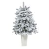Flkd North Carolina Fir Xmas Tree w/150 Lights in Planter