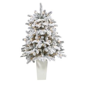 Flkd North Carolina Fir Xmas Tree w/150 Lights in Planter (size: 3')
